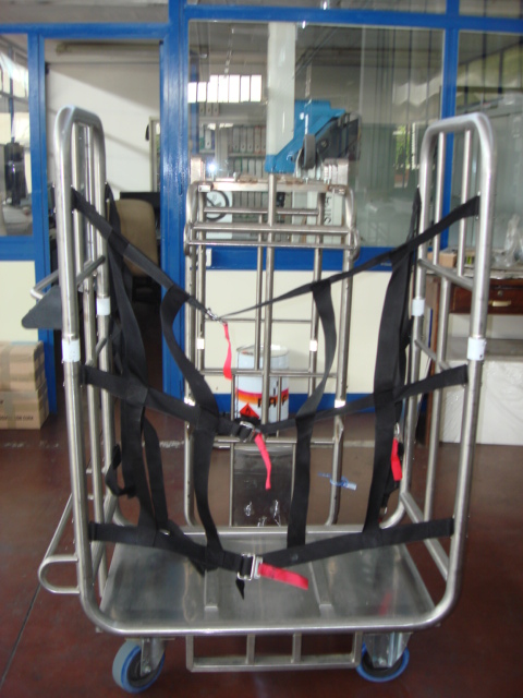 Safety strip with buckle